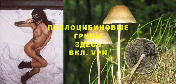эйфоретик Арсеньев