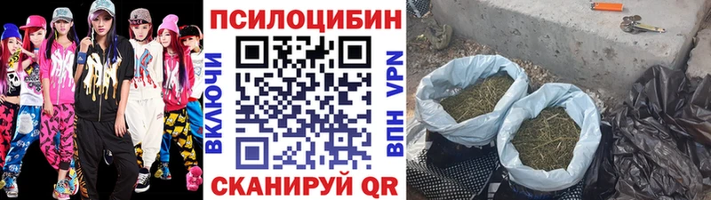 mega маркетплейс  закладки  Волхов  Галлюциногенные грибы ЛСД 